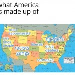 what America is made up of meme
