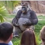 Gorilla: gorilla talks template