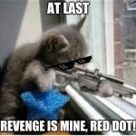 when cats learn how to snipe | AT LAST REVENGE IS MINE, RED DOT! | image tagged in cats with guns,funny | made w/ Imgflip meme maker