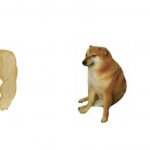 Buff Doge vs. Cheems (Extended) meme