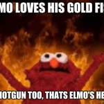 Welcome to hell boyz | ELMO LOVES HIS GOLD FISH; HIS SHOTGUN TOO, THATS ELMO'S HELLLLLL | image tagged in welcome to hell boyz | made w/ Imgflip meme maker