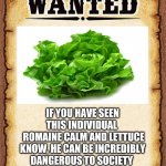 wanted poster | IF YOU HAVE SEEN THIS INDIVIDUAL 
 ROMAINE CALM AND LETTUCE KNOW, HE CAN BE INCREDIBLY DANGEROUS TO SOCIETY | image tagged in wanted poster | made w/ Imgflip meme maker