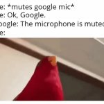 laughing parrot meme