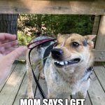Herp derp | MOM SAYS I GET MY BRACES NEXT WEEK | image tagged in herp derpy teeth,teeth,dog,cattle dog,hillbilly | made w/ Imgflip meme maker