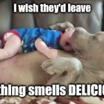 Mmmm, baby... | I wish they'd leave; This thing smells DELICIOUS !! | image tagged in dog and infant | made w/ Imgflip meme maker
