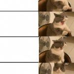 Impatient cat template