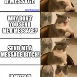 Impatient cat | SEND ME A MESSAGE; fb/arif.haque8; WHY DON'T YOU SEND ME A MESSAGE? SEND ME A MESSAGE BITCH! IN MESSAGE REQUEST? OH, OKAY... | image tagged in impatient cat | made w/ Imgflip meme maker