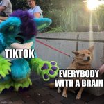 soooo... hows ur day going | TIKTOK EVERYBODY WITH A BRAIN | image tagged in dog afraid of furry,oh no i have done it again | made w/ Imgflip meme maker