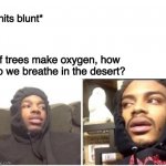 Thought | *hits blunt*; If trees make oxygen, how do we breathe in the desert? | image tagged in hits blunt | made w/ Imgflip meme maker