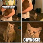 So true though | STASIS,MAGNISIS,REMOTE BOMBS AND CAMERA; CRYNOSIS | image tagged in man holding dog but cat is sad,legend of zelda | made w/ Imgflip meme maker