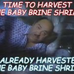 Time to harvest the brine shrimp! | TIME TO HARVEST THE BABY BRINE SHRIMP! I ALREADY HARVESTED THE BABY BRINE SHRIMP | image tagged in time to make the doughnuts | made w/ Imgflip meme maker