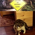 Cat think | image tagged in cat think,fallout hold up,funny,memes,ironic | made w/ Imgflip meme maker