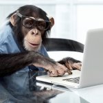 Editor monkey