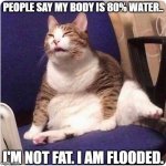 Biologi | PEOPLE SAY MY BODY IS 80% WATER.. I'M NOT FAT. I AM FLOODED. | image tagged in fat cat | made w/ Imgflip meme maker