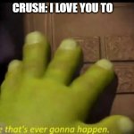 me irl | CRUSH: I LOVE YOU TO | image tagged in like thats ever gonna happen | made w/ Imgflip meme maker