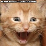 i'm soo hyped about the 1.17 part 1 & part 2 | ME WHEN MINECRAFT 1.17 UPDATE IS RELEASED: | image tagged in memes,excited cat | made w/ Imgflip meme maker
