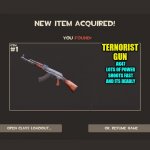 ternorist | TERNORIST GUN; AK47
LOTS OF POWER SHOOTS FAST AND ITS DEADLY | image tagged in you got tf2 shit,ternorist,gun,tf2,oof | made w/ Imgflip meme maker