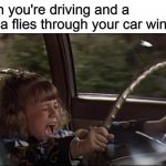 Stephanie Tanner Screaming Behind the Wheel | When you're driving and a cicada flies through your car window | image tagged in stephanie tanner screaming behind the wheel,memes,driving,full house,cicada,cicadas | made w/ Imgflip meme maker