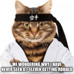 Karate cat | ME WONDERING WHY I HAVE NEVER SEEN A 7-ELEVEN GETTING ROBBED | image tagged in karate cat | made w/ Imgflip meme maker