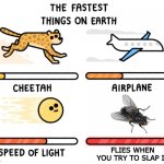 Fastest thing on earth | FLIES WHEN YOU TRY TO SLAP IT | image tagged in fastest thing on earth,flies | made w/ Imgflip meme maker