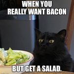 Sad Joy Kitty | WHEN YOU REALLY WANT BACON; BUT GET A SALAD. | image tagged in joy kitty | made w/ Imgflip meme maker