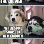 Dad jokes suck | I WAS SINGING IN THE SHOWER NOW IT’S A SOAP OPERA WHEN SOME SOAP GOT IN MY MOUTH | image tagged in bad pun dogs,memes,crappy memes,stupid memes,dad joke | made w/ Imgflip meme maker