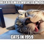 Cats before lasers | THE LASER WAS INVENTED IN 1960; CATS IN 1959 | image tagged in sleeping cat | made w/ Imgflip meme maker
