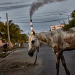 Unicorn low budget horse smokestack