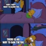 There is no way to ban tiktok | BART, I DON’T WANT TO ALARM YOU; THERE IS NO WAY TO BAN TIKTOK | image tagged in bart i don't want to alarm you,tiktok,screaming | made w/ Imgflip meme maker
