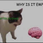 why is it empty? | ME AFTER AN EXAM | image tagged in why is it empty | made w/ Imgflip meme maker