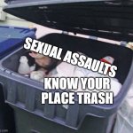 PLS JUST- | SEXUAL ASSAULTS; KNOW YOUR PLACE TRASH | image tagged in trash possum | made w/ Imgflip meme maker