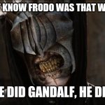 mouth of sauron | I DIDN'T KNOW FRODO WAS THAT WAY, BUT; HE DID GANDALF, HE DID | image tagged in mouth of sauron | made w/ Imgflip meme maker