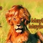 Maybel-lion | Maybe she's born with it. Maybe it's Maybel-lion. | image tagged in maybelion | made w/ Imgflip meme maker