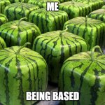 Minecraft Melons | ME; BEING BASED | image tagged in minecraft melons | made w/ Imgflip meme maker