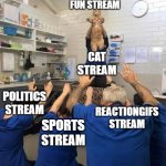 People Worshipping The Cat | FUN STREAM; CAT STREAM; POLITICS STREAM; REACTIONGIFS STREAM; SPORTS STREAM | image tagged in people worshipping the cat | made w/ Imgflip meme maker