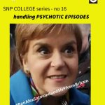 SNP no16 meme