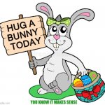 Lonely Rabbit | HUG A 
BUNNY 
TODAY; YOU KNOW IT MAKES SENSE | image tagged in easter bunny,lucky charms,rabbit,rabbits,mother nature,creatures | made w/ Imgflip meme maker