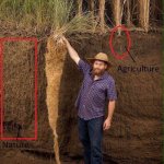 Prairie grass vs agriculture template