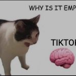 why is it empty? | TIKTOK | image tagged in why is it empty | made w/ Imgflip meme maker