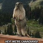 Screaming marmot | HEY! WE'RE CANADIANS! | image tagged in screaming marmot | made w/ Imgflip meme maker