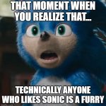 Huh... | THAT MOMENT WHEN YOU REALIZE THAT... TECHNICALLY ANYONE WHO LIKES SONIC IS A FURRY | image tagged in sonic movie,furry,sonic,sonic the hedgehog,that moment when,funny | made w/ Imgflip meme maker