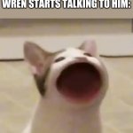 Pop Cat | DEATHBRINGER WHEN WREN STARTS TALKING TO HIM: | image tagged in pop cat,wings of fire,wof | made w/ Imgflip meme maker