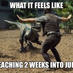 Teaching in June | WHAT IT FEELS LIKE; TEACHING 2 WEEKS INTO JUNE | image tagged in raptor training | made w/ Imgflip meme maker