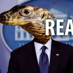 Lizard Government