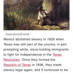 Texan independence slavery