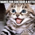 thx guys | THANKS FOR 50K HAVE A KITTEN | image tagged in uber cute cat | made w/ Imgflip meme maker