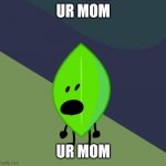 UR MOM | UR MOM; UR MOM | image tagged in surprised leafy | made w/ Imgflip meme maker