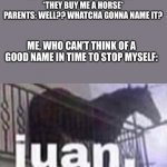 Juan horse | MY PARENTS FOR MY BIRTHDAY: *THEY BUY ME A HORSE*
PARENTS: WELL?? WHATCHA GONNA NAME IT? ME, WHO CAN’T THINK OF A GOOD NAME IN TIME TO STOP MYSELF: | image tagged in juan horse | made w/ Imgflip meme maker