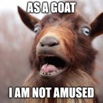 As a goat, I am not amused | AS A GOAT; I AM NOT AMUSED | image tagged in goatscream2014,user stories,not amused,goat | made w/ Imgflip meme maker