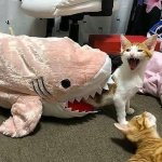 Toy shark attack